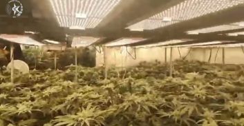 יבנה: המשטרה חשפה מאות ק"ג מריחואנה במעבדה באזור התעשייה