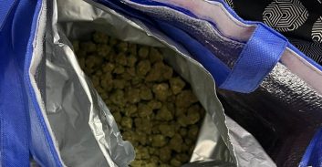 מחסן מריחואנה במיליון שקל נתפס בדירה בנהריה