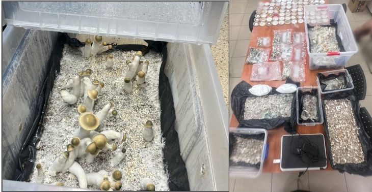 מעבדה סמים פטריות הזיה ביאליק (צילום משטרה)