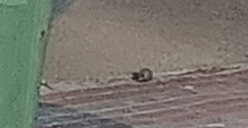 ירי ורימון לעבר בית בעוספיה, שריפת רכב בדלית אל כרמל