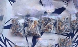 אישום: סמי-הזיה מהולנד, גידול פטריות בבית וסחר בקוביות סוכר טבולות באסיד