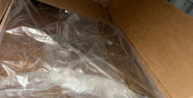 חמישה עצורים בחשד למעורבות בהברחת מכולת טבק מנמל אשדוד