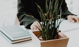 תלונה ללשכת עוה"ד נגד עורכת-דין בהשעיה בחשד שייצגה עובד שב"ס בשימוע