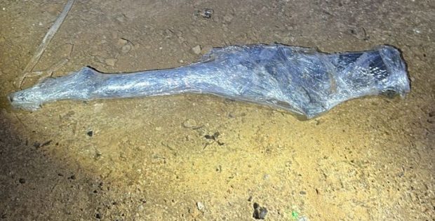 שוב הרוג בפעילות משטרה בנגב, ושוב בן גביר ממהר לתת גיבוי