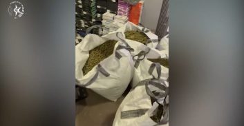 בין חולון לראשון לציון: טון וחצי מריחואנה וחשיש שיועדו להפצה – שלושה נעצרו