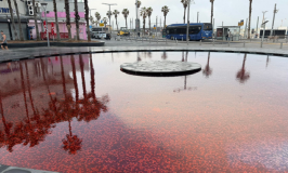 מחאה אדומה: המשטרה עצרה חשודים ששפכו צבע למזרקות בחיפה ובתל אביב