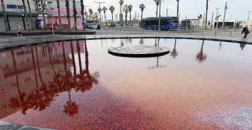 מחאה אדומה: המשטרה עצרה חשודים ששפכו צבע למזרקות בחיפה ובתל אביב