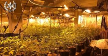 כרמיאל: אב ובנו חשודים בהקמת מעבדת-קנאביס גדולה בבניין בן 3 קומות