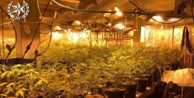 כרמיאל: אב ובנו חשודים בהקמת מעבדת-קנאביס גדולה בבניין בן 3 קומות