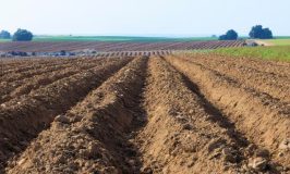 המינהל הפך את הקרקע בשדה שחקלאים בדואים זרעו בו ללא אישור