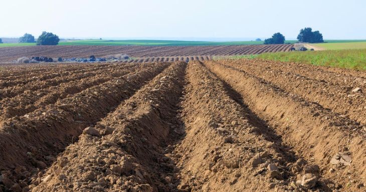 שדה נגב Moshe Shai/FLASH90