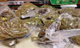 קצרין: שוחרר צעיר שנחשד בהחזקת כמות גדולה של חשיש וקנאביס