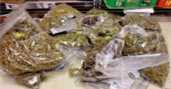 קצרין: שוחרר צעיר שנחשד בהחזקת כמות גדולה של חשיש וקנאביס