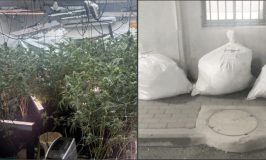 אישום: גידול 50 ק"ג קנאביס וגניבת חשמל בשווי 348 אלף שקל