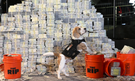 "המכה": כאשר שוטרים אמריקאים גונבים 20 מיליון דולר מקרטל קולומביאני