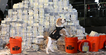 "המכה": כאשר שוטרים אמריקאים גונבים 20 מיליון דולר מקרטל קולומביאני