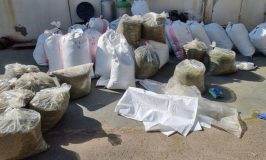 חשד: נתפסו עם כ-350 ק"ג קנאביס שהוסתרו בתוך מוסך בשפלה