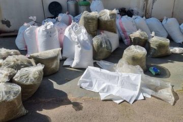 חשד: נתפסו עם כ-350 ק"ג קנאביס שהוסתרו בתוך מוסך בשפלה