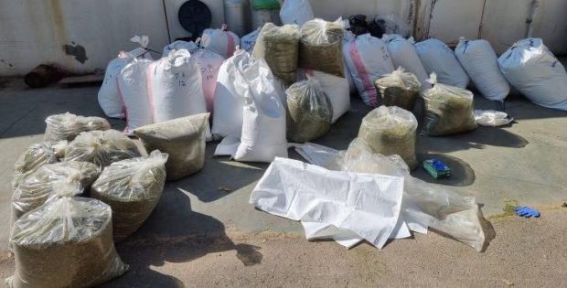 חשד: נתפסו עם כ-350 ק"ג קנאביס שהוסתרו בתוך מוסך בשפלה