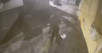 אישום: רימונים וירי על בית אחרי ניסיון סחיטה של שני מיליון שקל