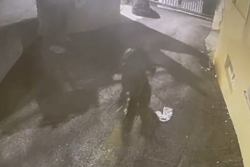 אישום: רימונים וירי על בית אחרי ניסיון סחיטה של שני מיליון שקל