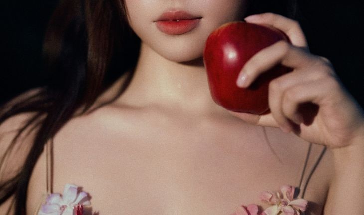 נערת ליווי בכיר מס הכנסה שוחד 