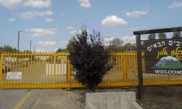 רמ"י משווקת 33 מגרשים במחיר אפס ביישוב קלע-אלון ברמת הגולן