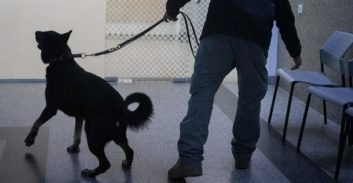 טירת כרמל: צעיר נעצר בחשד להחזקת 145 גרם קוקאין