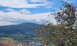 משגב: הוועדה המחוזית לתכנון ובנייה אישרה את הרחבת היישוב עצמון שגב