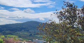 משגב: הוועדה המחוזית לתכנון ובנייה אישרה את הרחבת היישוב עצמון שגב