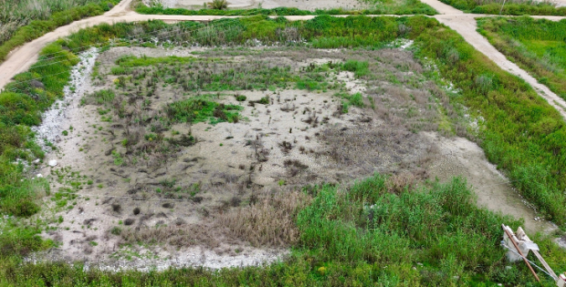 השקעה של 1.5 מיליארד: פאנלים-סולריים במקום בריכות דגים יבשות בעמק המעיינות