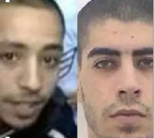 יעקב ביטון דניאל זרוג 