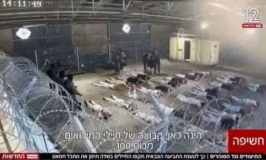 סוף פרשת שדה תימן וחזרתם למוטב של שומרי הסף