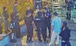 גן העדן של האלימות נוצר בוואקום של מערכת אכיפת החוק