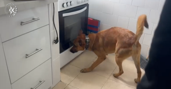 מוכרים למשטרה חשודים בהחזקת אקדח וגניבת רכוש בשווי כמיליון שקל