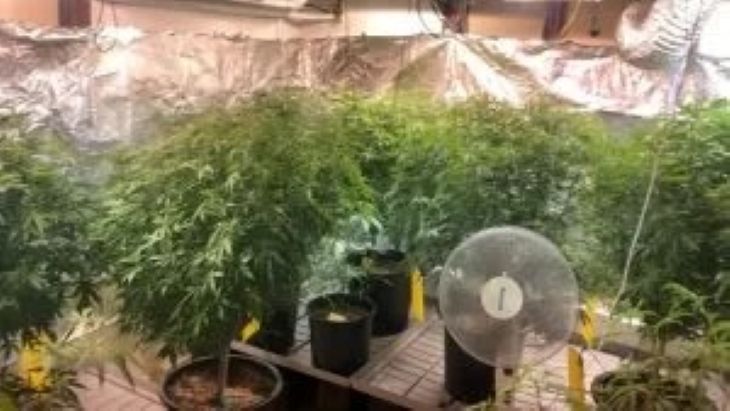 מעבדה קנאביס מאווררים