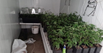 קריית ים: שני חשודים בהחזקת 19 ק"ג מריחואנה בדירה