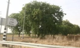 הוועדה לשמירה על שטחים-חקלאיים בלמה תוספת יחידות בשתי נחלות במושב חלץ