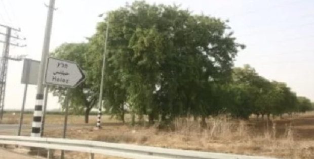 הוועדה לשמירה על שטחים-חקלאיים בלמה תוספת יחידות בשתי נחלות במושב חלץ