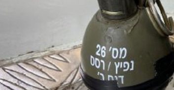 בחזרה לכוכב הצפון: רימון רסס בבריכה של בניין מגורים