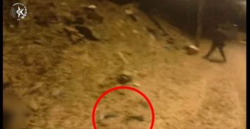 דקות אחרי ירי: תושב לוד נעצר כשברשותו אקדח עם כדור בקנה