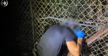 נעצרו שלושה חשודים בניסיון לייצא 20 ק"ג חשיש דרך הגבול לירדן