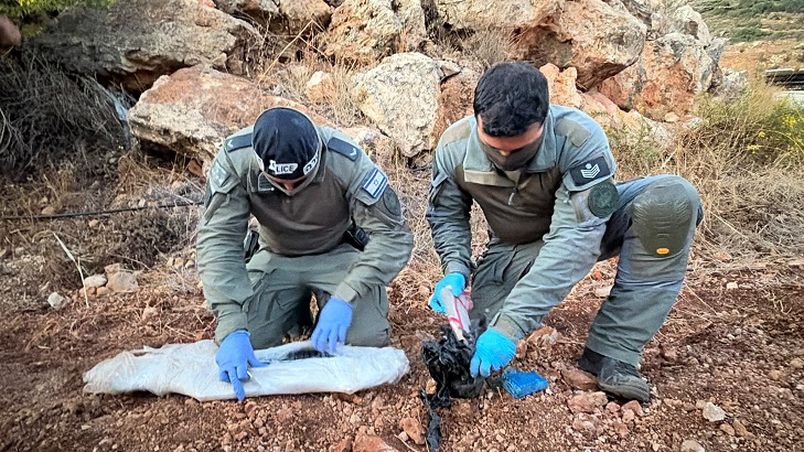 צפו: מצבור אמל"ח חריג נתפס במהלך פעילות נגד ארגון אבו-לטיף בצפון